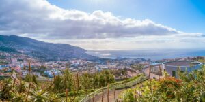 Pico-dos-Barcelos-Viewpoint