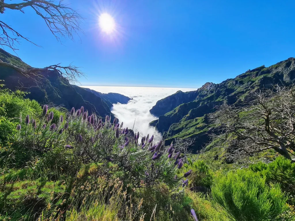 Pico Ruivo Madeira