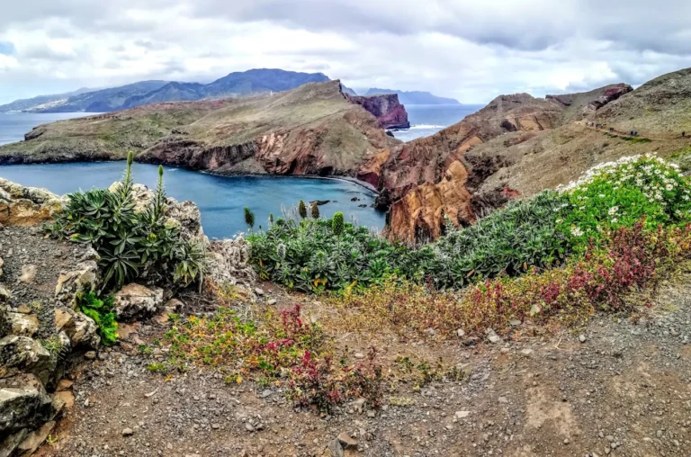Vereda da Ponta de São Lourenço madeira