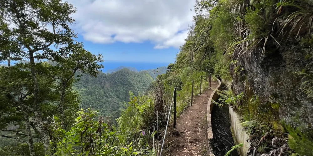 Miradouro da Portela madeira Miradouro da Portela madeira