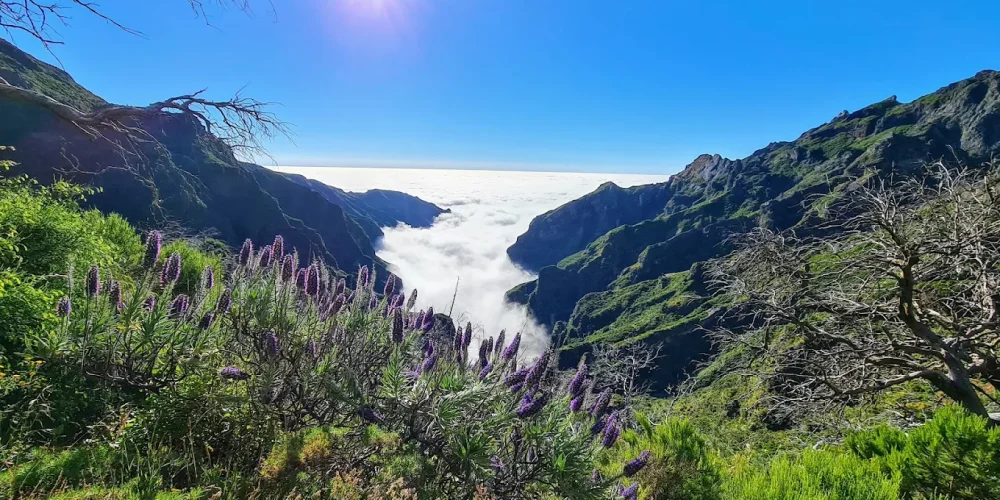 Pico Ruivo Madeira