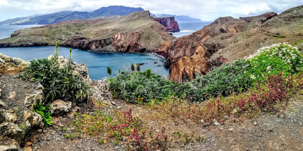 Vereda da Ponta de São Lourenço madeira