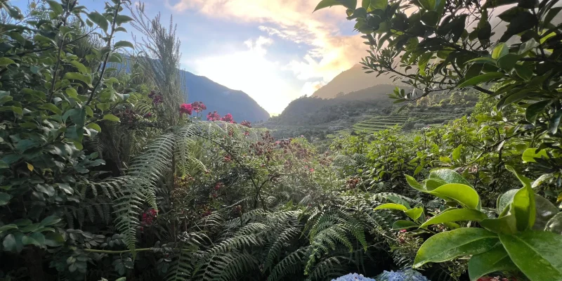landscape-sao-vicente