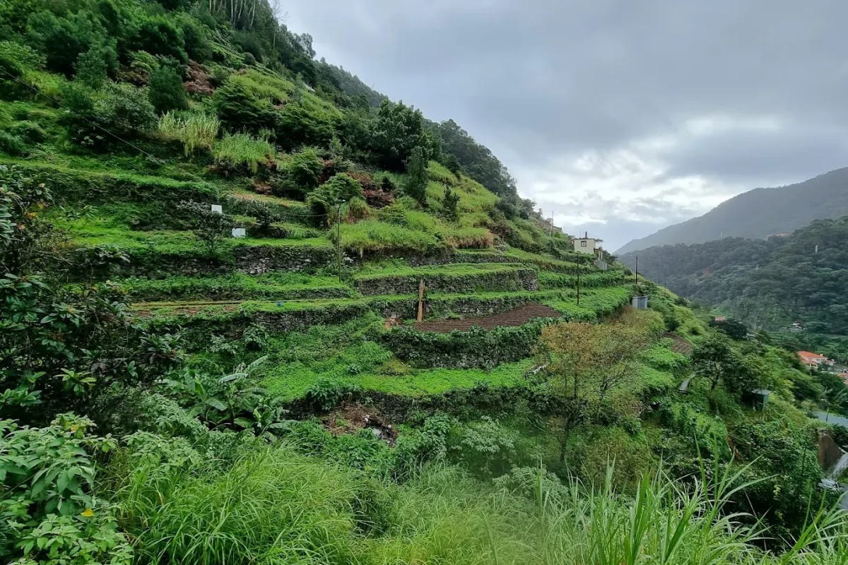 levada-dos-marocos-madeira