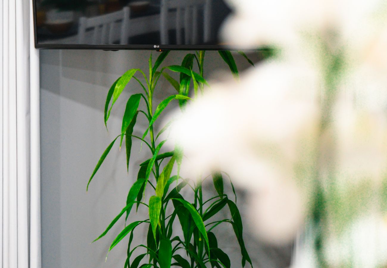 Ferienwohnung in Machico - Rose House by Atlantic Holiday Ferienwohnung in Machico - Rose House by Atlantic Holiday