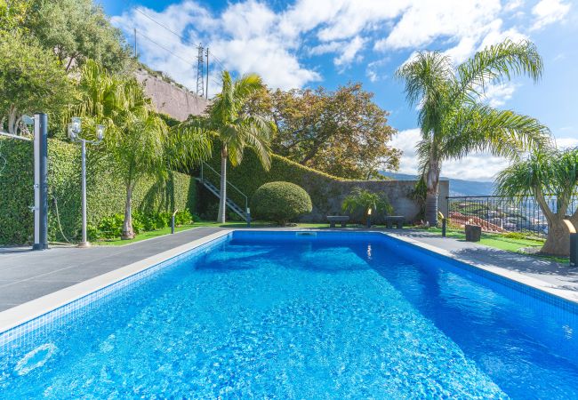 Villa in Câmara de Lobos - Palm Paradise by Atlantic Holiday Villa in Câmara de Lobos - Palm Paradise by Atlantic Holiday