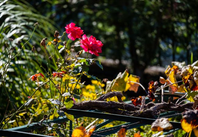 Apartamento en São Vicente - Stone House 'Vista' II by Atlantic Holiday Apartamento en São Vicente - Stone House 'Vista' II by Atlantic Holiday