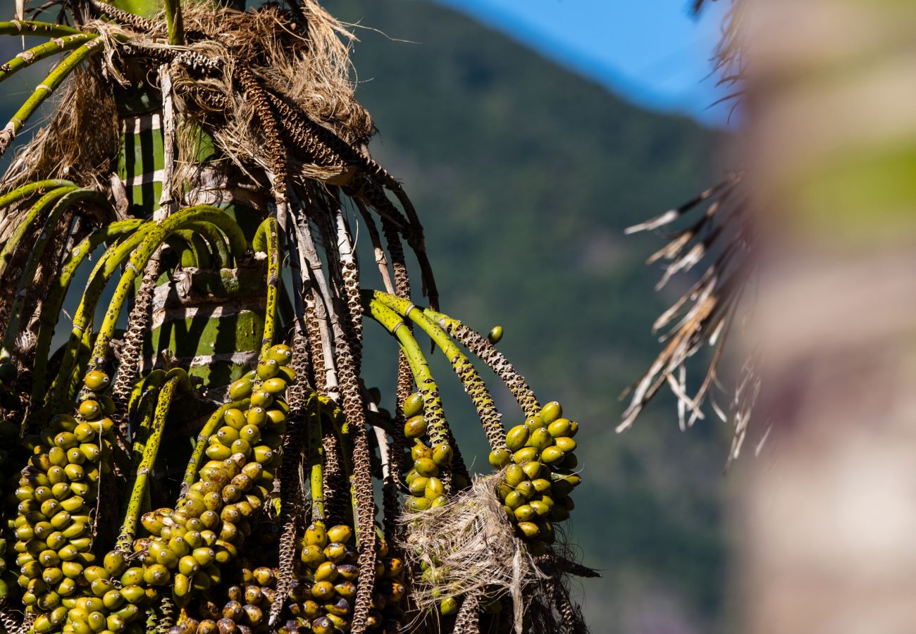 Apartamento en São Vicente - Stone House 'Vista' by Atlantic Holiday Apartamento en São Vicente - Stone House 'Vista' by Atlantic Holiday