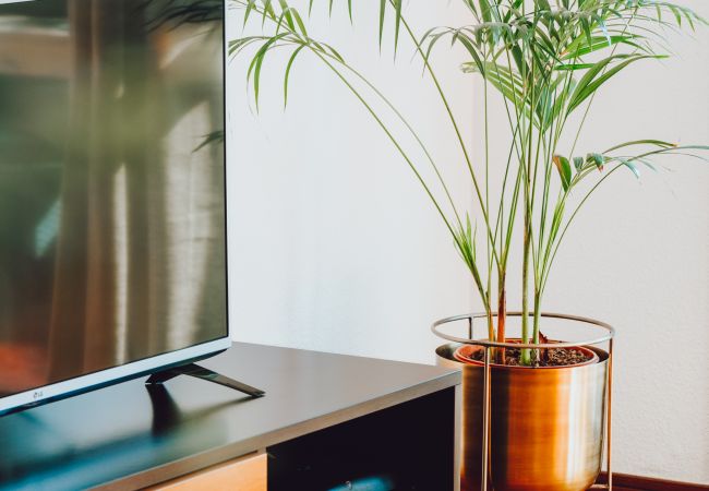 Apartamento en Funchal - Camões Apartment by Atlantic Holiday Apartamento en Funchal - Camões Apartment by Atlantic Holiday