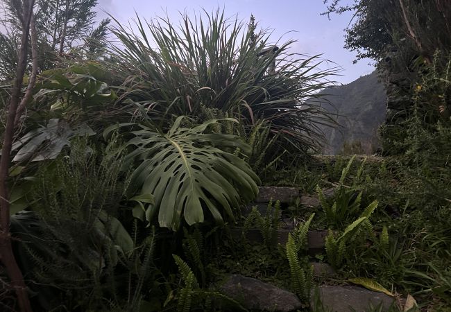 Casa rural en São Vicente - Magical Mountain Retreat - Zembica by Atlantic Holiday Casa rural en São Vicente - Magical Mountain Retreat - Zembica by Atlantic Holiday