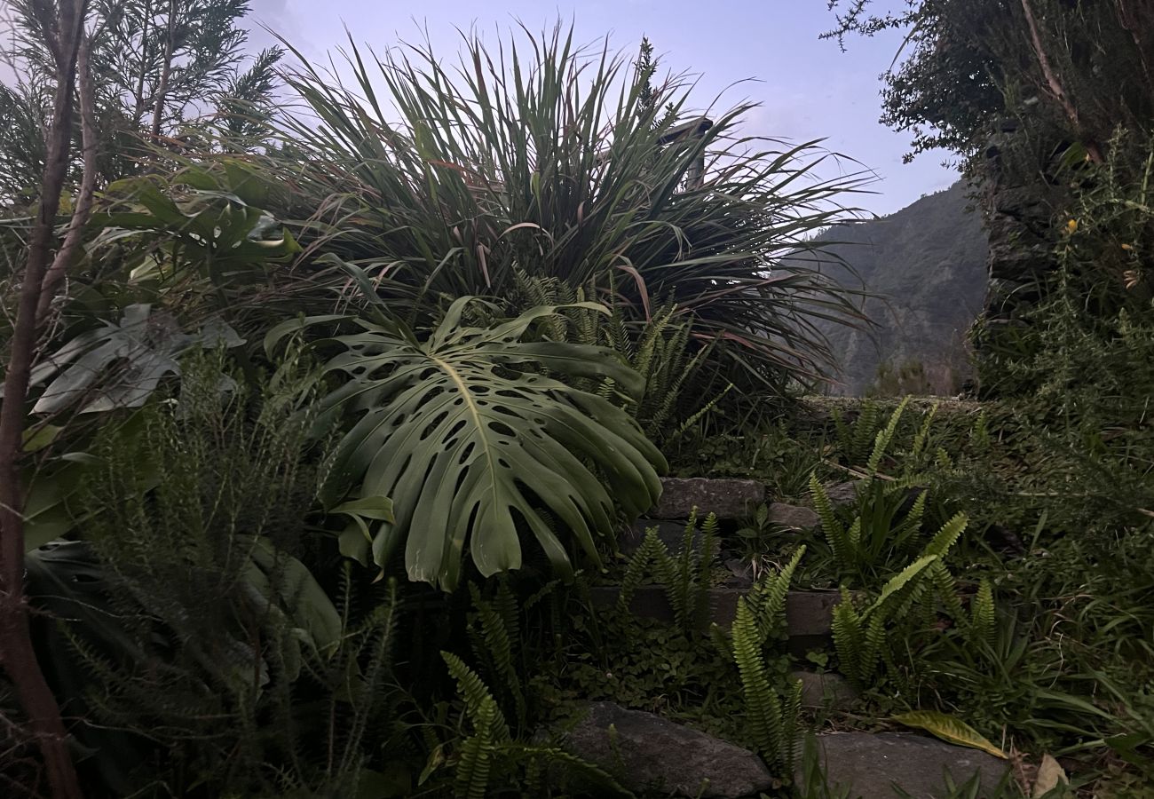 Casa rural en São Vicente - Magical Mountain Retreat - Zembica by Atlantic Holiday Casa rural en São Vicente - Magical Mountain Retreat - Zembica by Atlantic Holiday