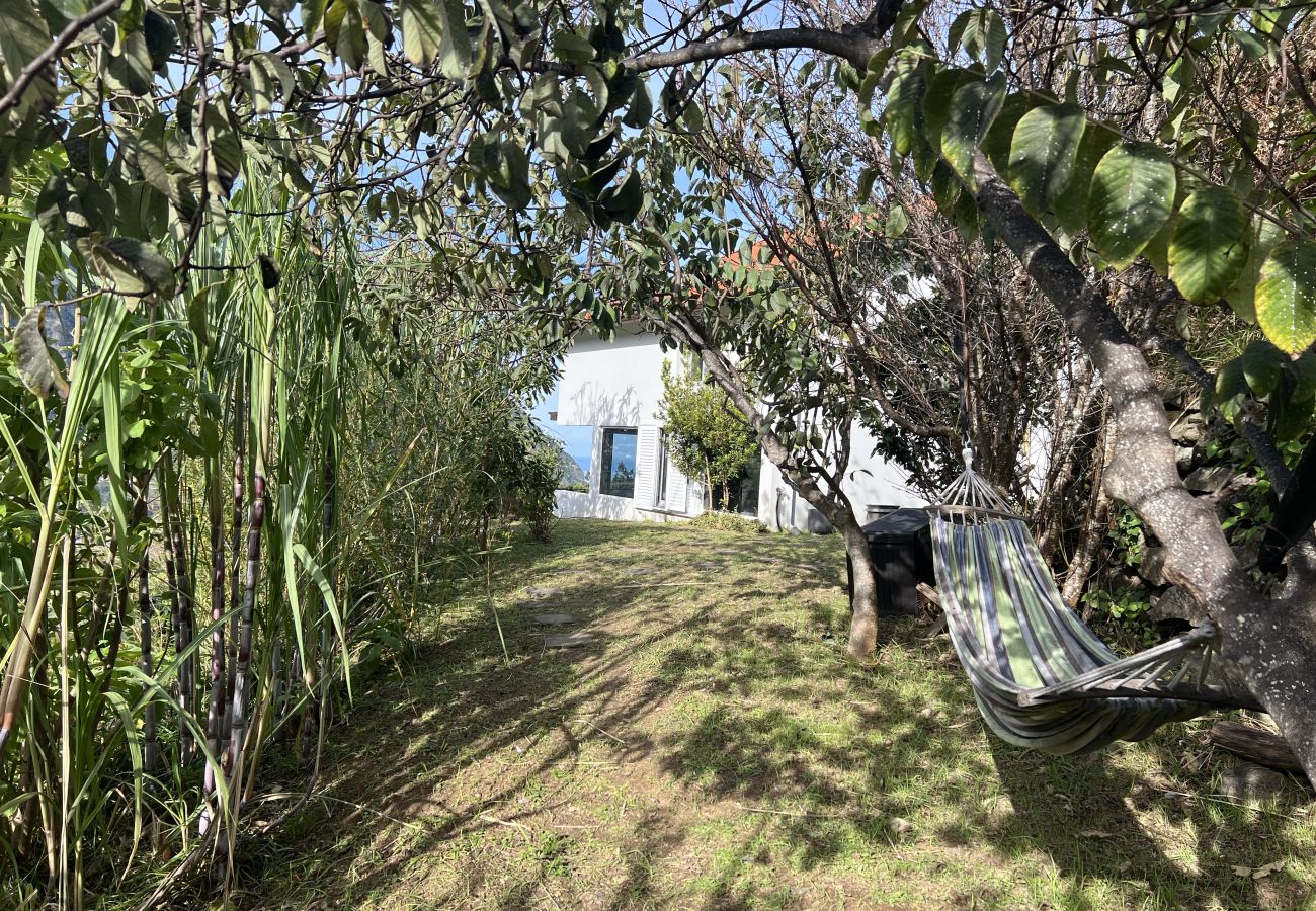 Casa rural en São Vicente - Magical Mountain Retreat - Zembica by Atlantic Holiday Casa rural en São Vicente - Magical Mountain Retreat - Zembica by Atlantic Holiday