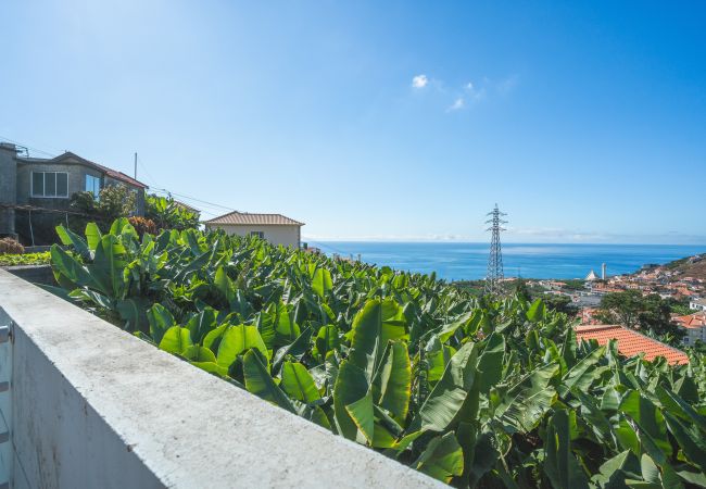 Apartamento en Câmara de Lobos - Pitanga by Atlantic Holiday Apartamento en Câmara de Lobos - Pitanga by Atlantic Holiday