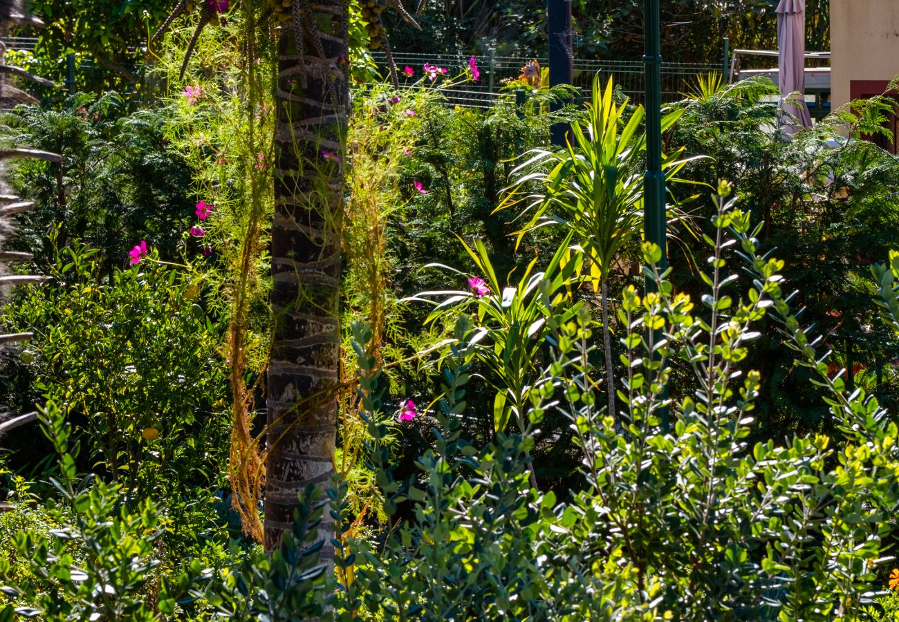 Appartement à São Vicente - Stone House 'Vista' II by Atlantic Holiday Appartement à São Vicente - Stone House 'Vista' II by Atlantic Holiday