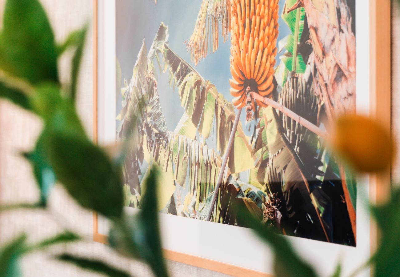 Apartamento em Funchal - Banana Lodge by Atlantic Holiday Apartamento em Funchal - Banana Lodge by Atlantic Holiday