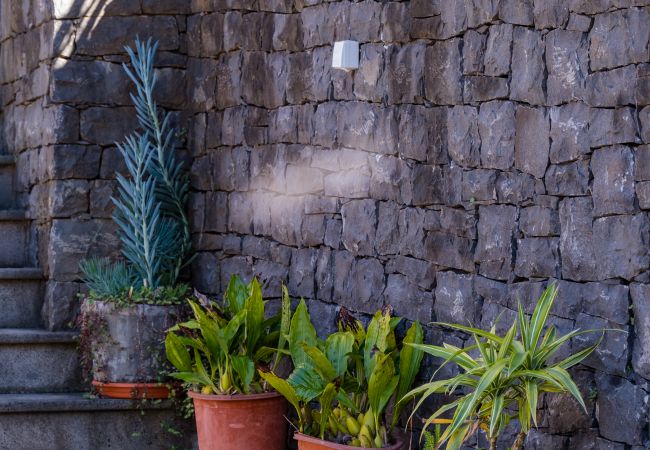 Apartamento em São Vicente - Stone House 'Vista' II by Atlantic Holiday Apartamento em São Vicente - Stone House 'Vista' II by Atlantic Holiday