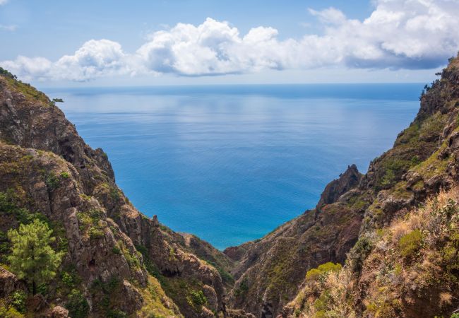 Apartamento em São Vicente - Apartamento Amarelo by Atlantic Holiday Apartamento em São Vicente - Apartamento Amarelo by Atlantic Holiday