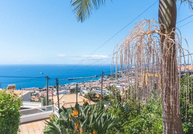 Casa em Funchal - Casa dos Vinhos by Atlantic Holiday Casa em Funchal - Casa dos Vinhos by Atlantic Holiday