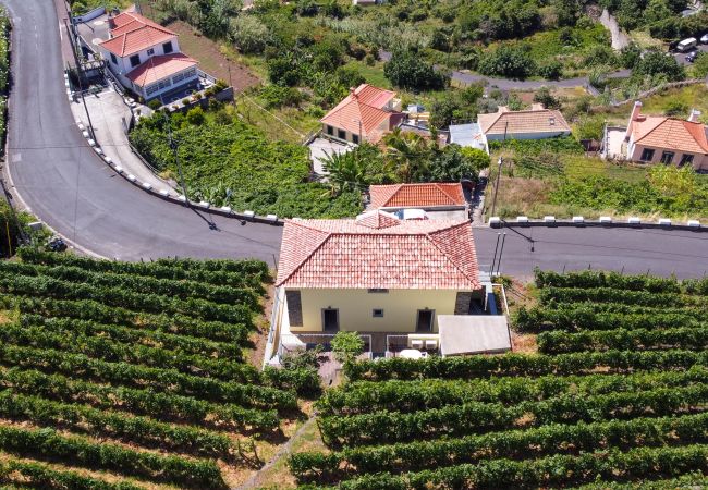 Apartment in Ponta Delgada - My School II by Atlantic Holiday Apartment in Ponta Delgada - My School II by Atlantic Holiday