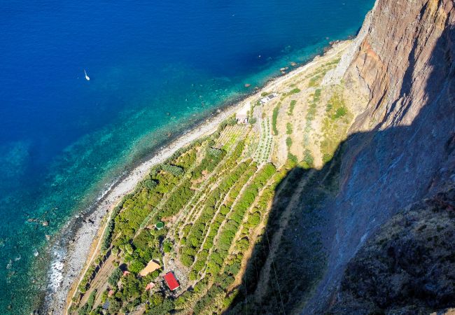 House in Câmara de Lobos - Figueiras House by Atlantic Holiday House in Câmara de Lobos - Figueiras House by Atlantic Holiday