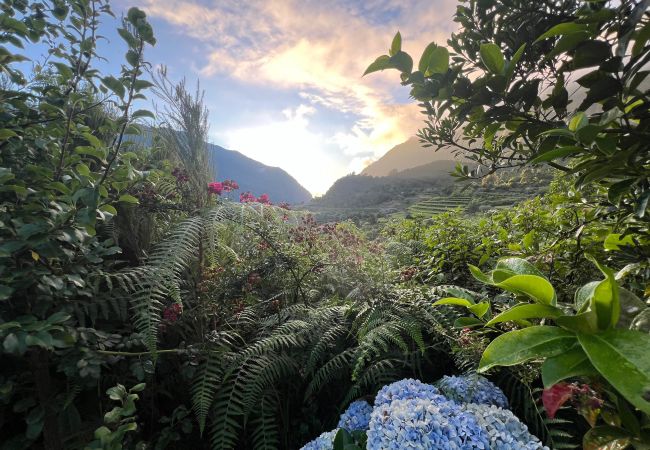 Cottage in São Vicente - Magical Mountain Retreat - Zembica by Atlantic Holiday Cottage in São Vicente - Magical Mountain Retreat - Zembica by Atlantic Holiday