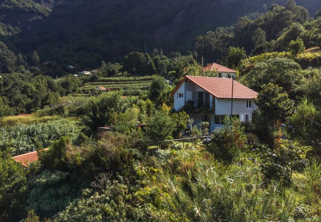 Cottage in São Vicente - Magical Mountain Retreat - Zembica by Atlantic Holiday Cottage in São Vicente - Magical Mountain Retreat - Zembica by Atlantic Holiday