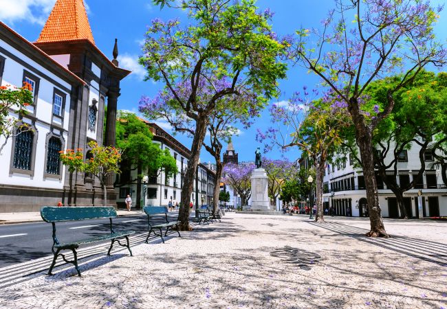 Apartment in Funchal - Art Studio by Atlantic Holiday Apartment in Funchal - Art Studio by Atlantic Holiday