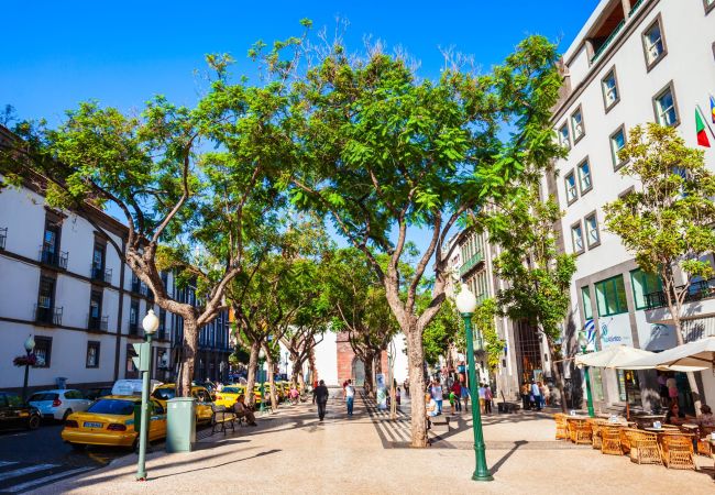 Apartment in Funchal - Funchal Essence by Atlantic Holiday Apartment in Funchal - Funchal Essence by Atlantic Holiday