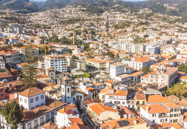 Apartment in Funchal - São Pedro Central Flat by Atlantic Holiday Apartment in Funchal - São Pedro Central Flat by Atlantic Holiday