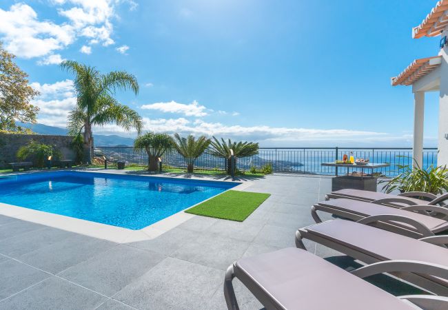 Palm Paradise by Atlantic Holiday