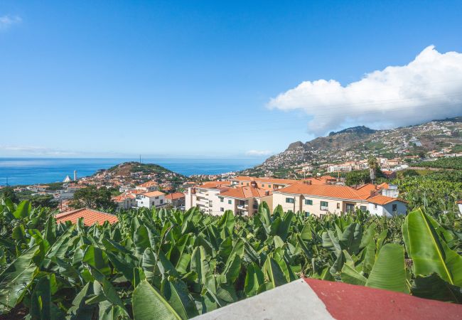 Apartment in Câmara de Lobos - Pitanga by Atlantic Holiday Apartment in Câmara de Lobos - Pitanga by Atlantic Holiday